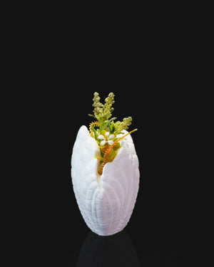 Kagyló váza