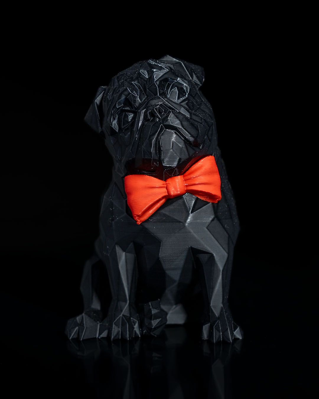 William, a mopsz